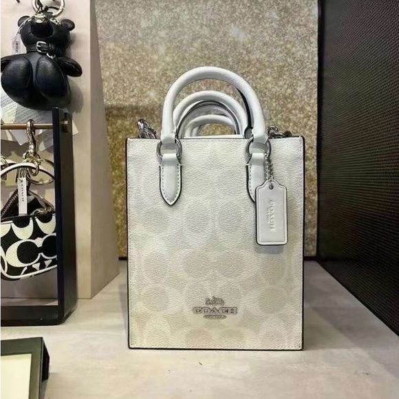 NWT Coach North South Mini Tote In Signature Canvas - Picture 6 of 14